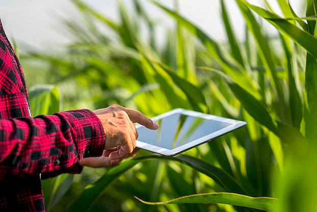 Qué hace la startup que se sumó a Pampa Start y cómo se proyecta en Latam