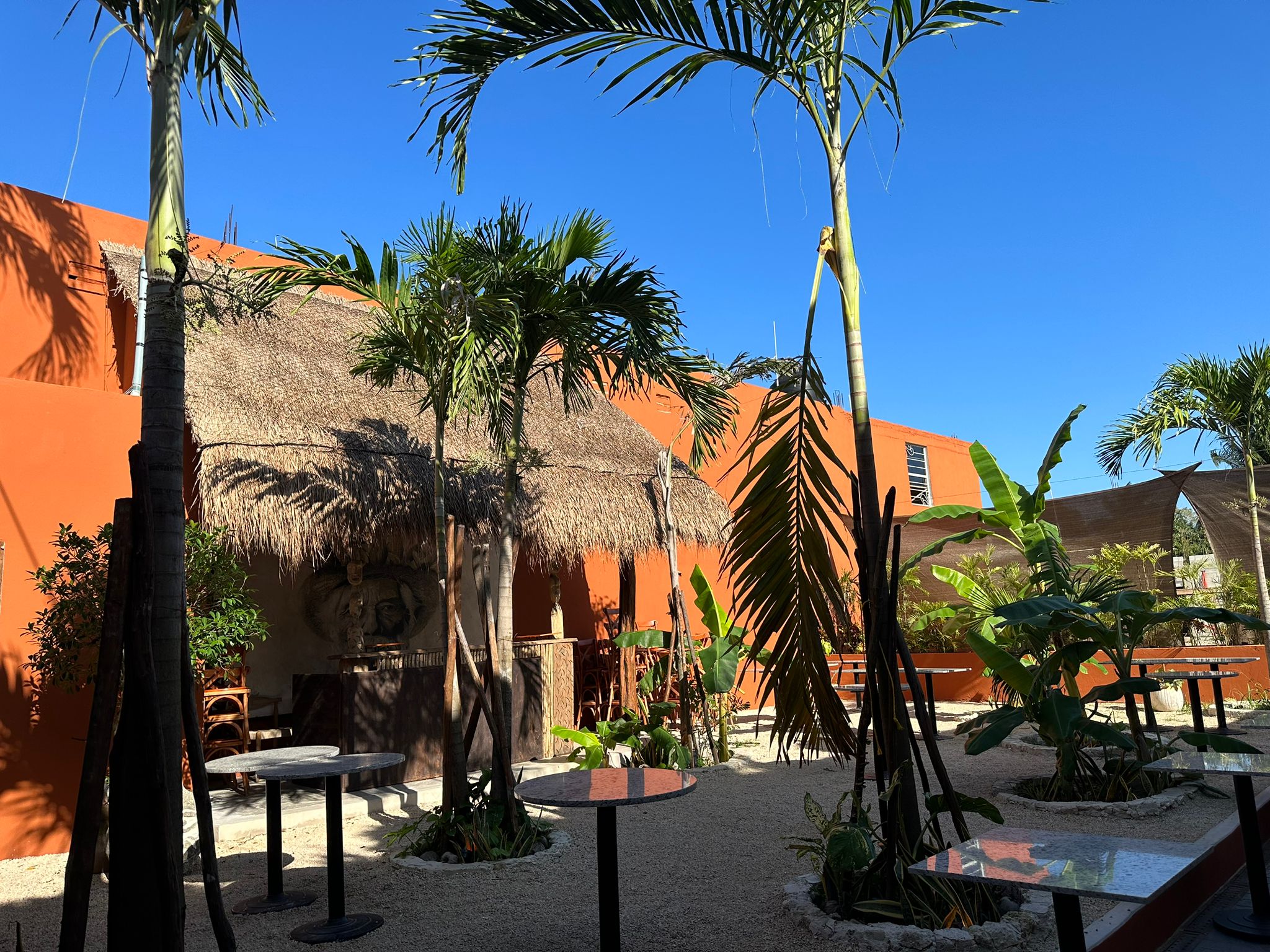 “Fruta” sigue expandiéndose y ya está en México