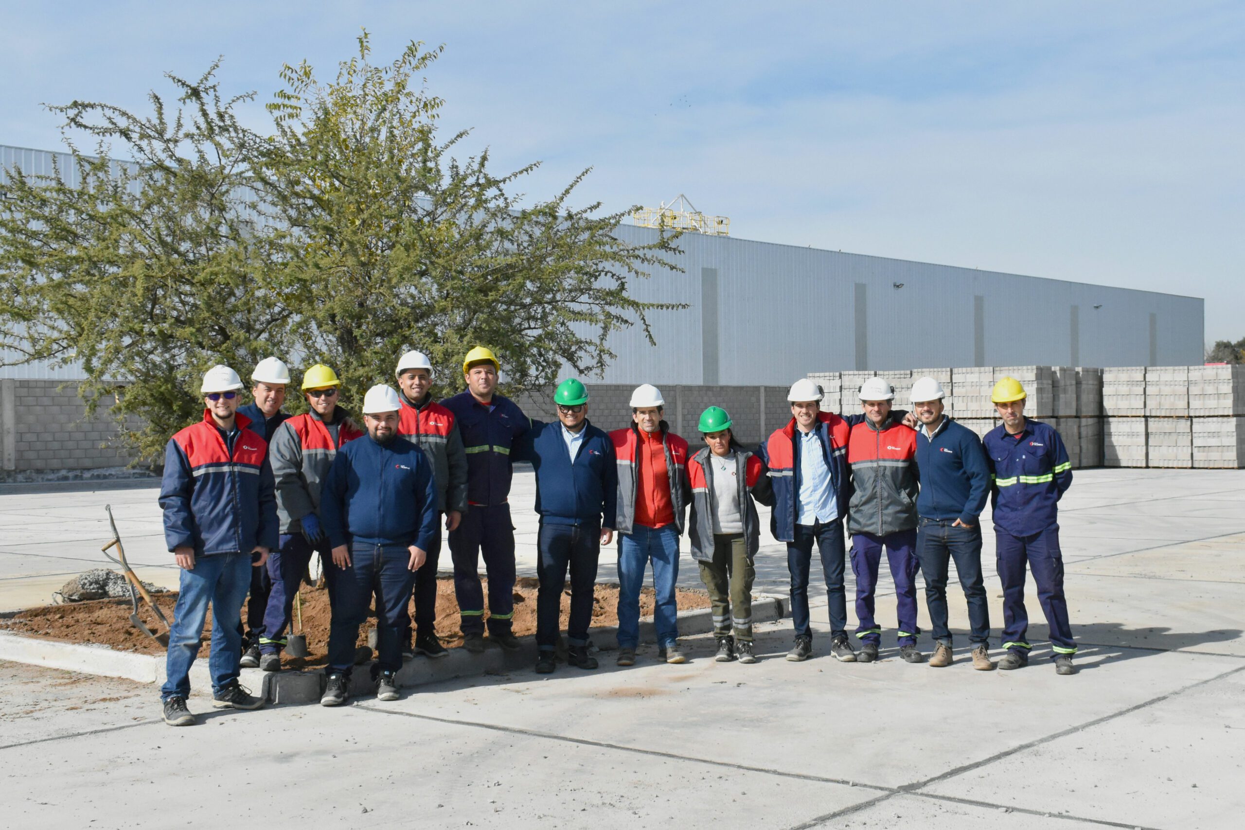 Hacia un futuro sostenible: Grupo Tejamax realizó una plantación de árboles autóctonos