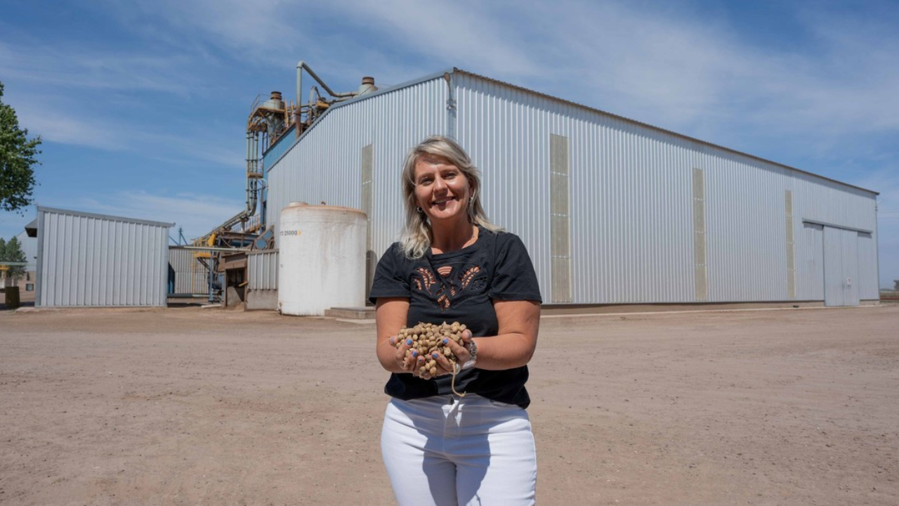 Prodeman se diversifica: el futuro no solo está en el maní,  sino también en cultivos como el maíz y la soja