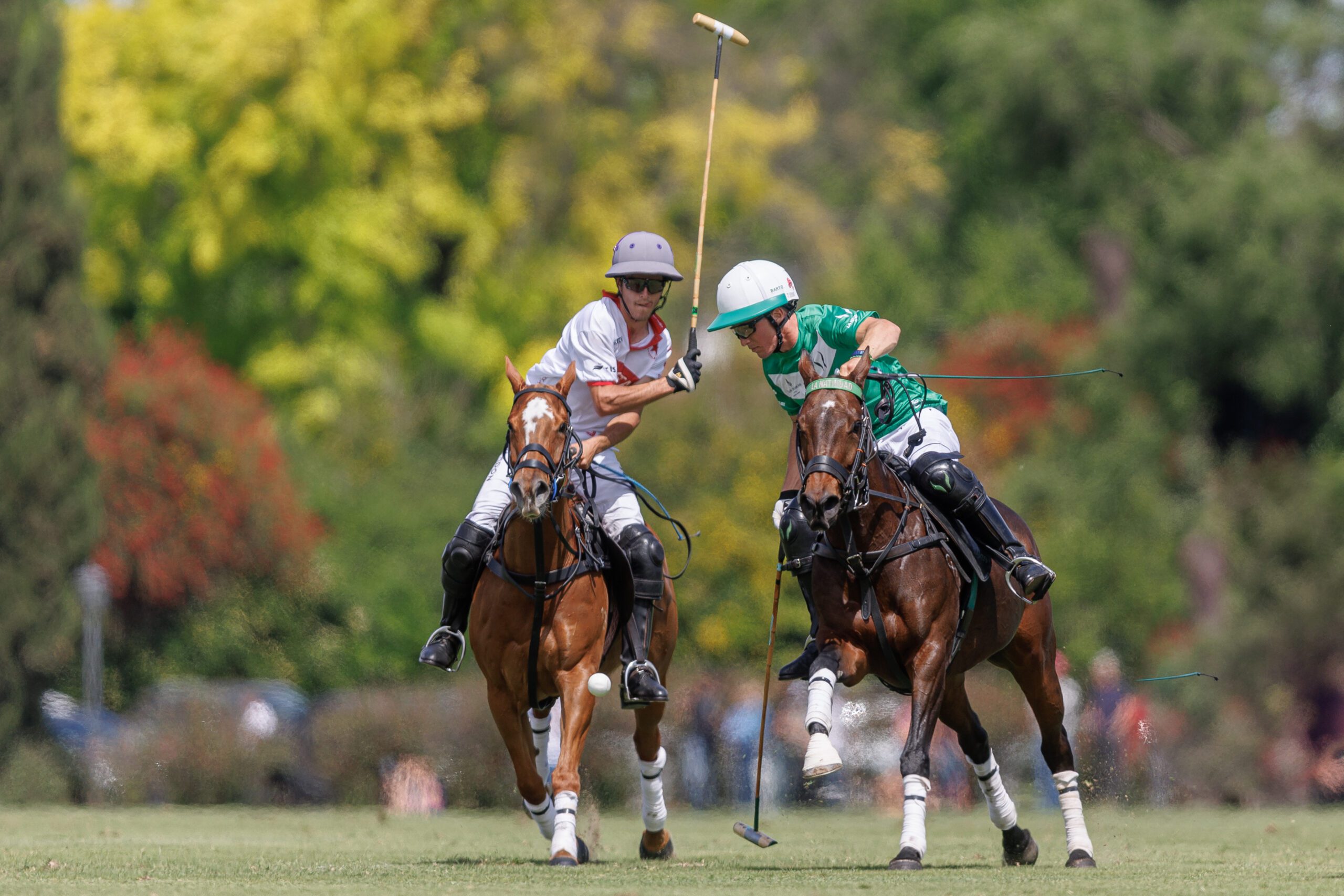 El polo argentino se reinventa con la alianza entre Jemersoft y la AAP