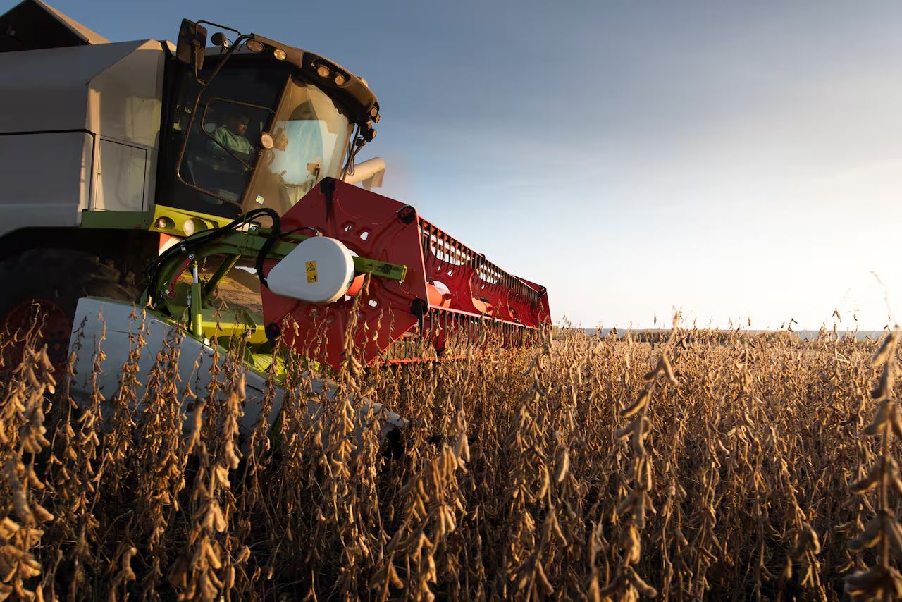 Retenciones: cuántos dólares se van de Córdoba según la Provincia (que advierte tolerancia de productores)