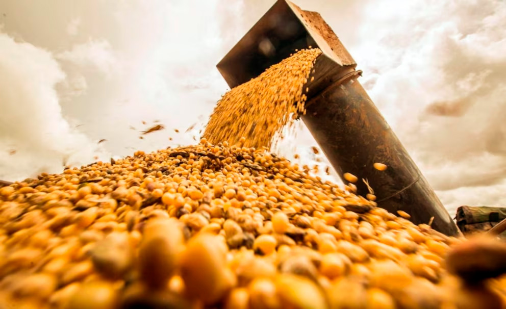 Energía y Agro: cómo se está diversificando la matriz exportadora argentina