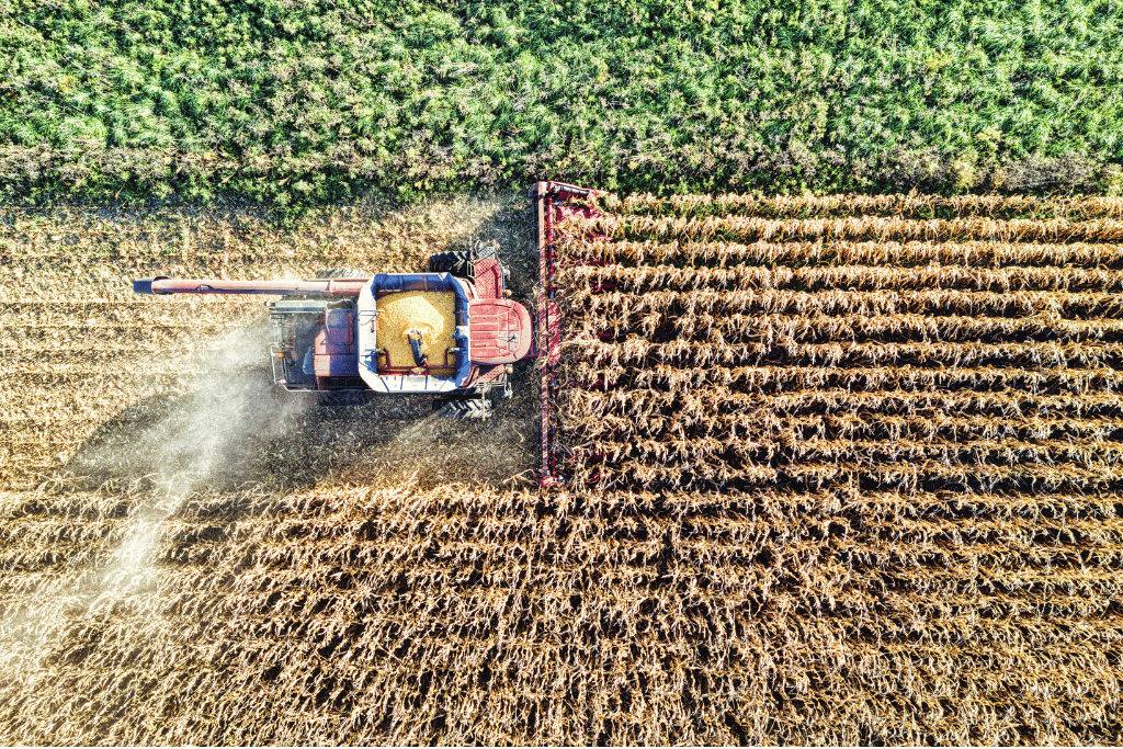 Efecto Medio Oriente: cómo está impactando la guerra en el agro argentino