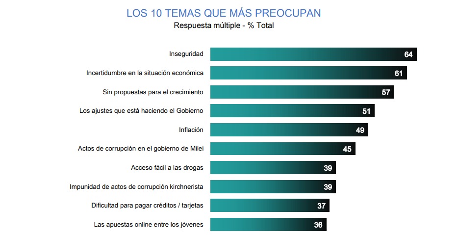 Cómo evalúan los argentinos la economía de Milei y cuáles son los 10 temas que más preocupan