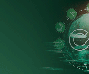 Dossier – Punto a Punto