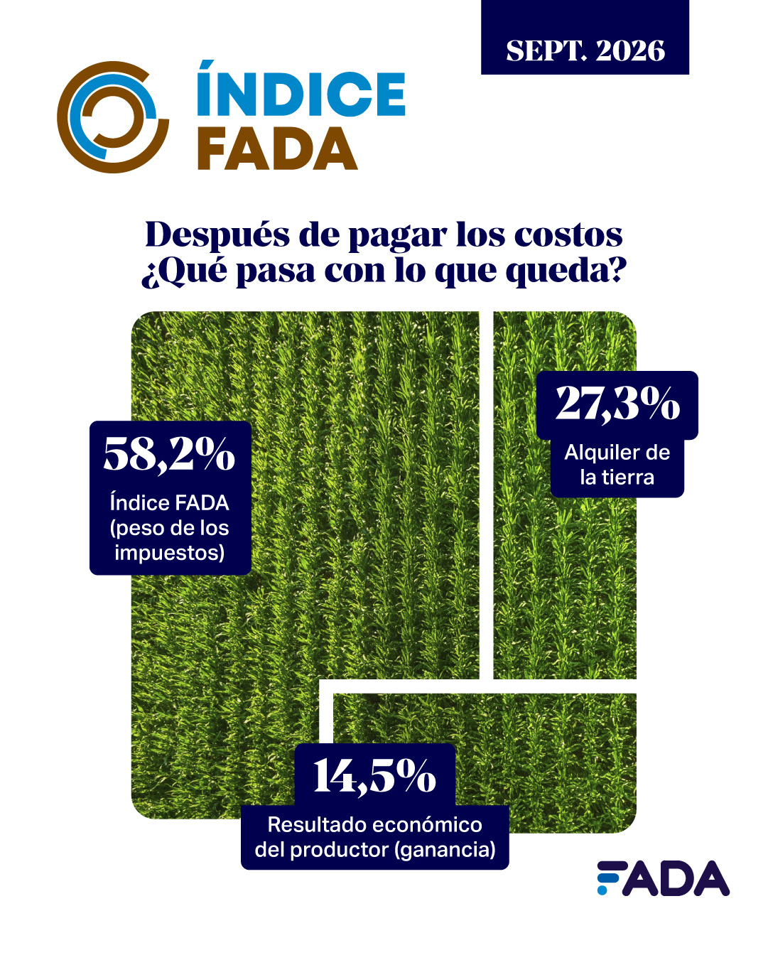 El campo hace las cuentas: cuánto se lleva el Estado por cada cultivo